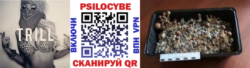 Псилоцибиновые грибы Magic Shrooms  Купить где  Богданович 